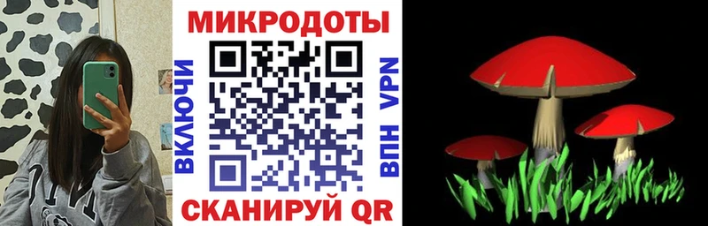 дарнет шоп Певек Галлюциногенные грибы Cubensis
